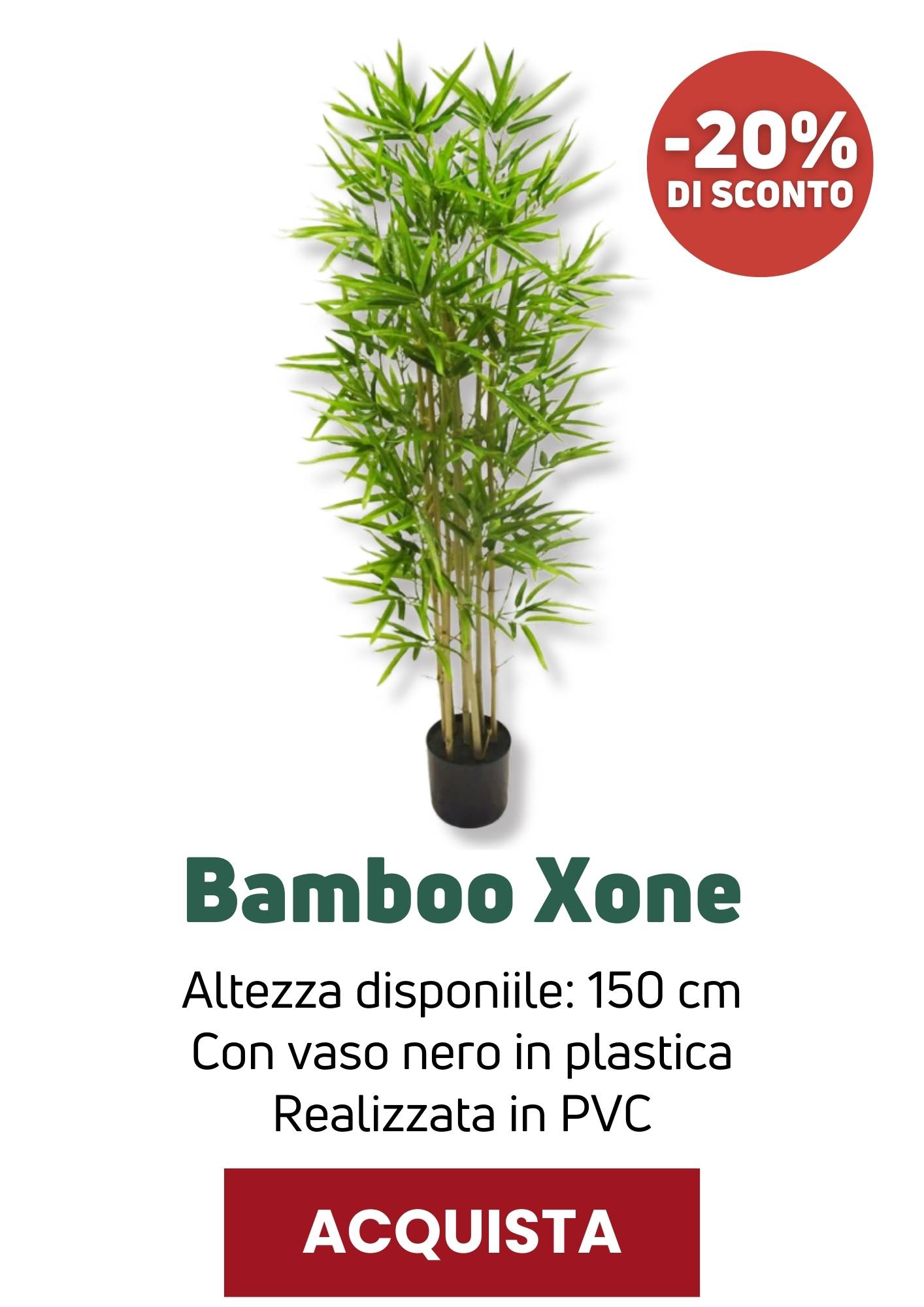 Bamboo in vaso Xone | Perrone Shop