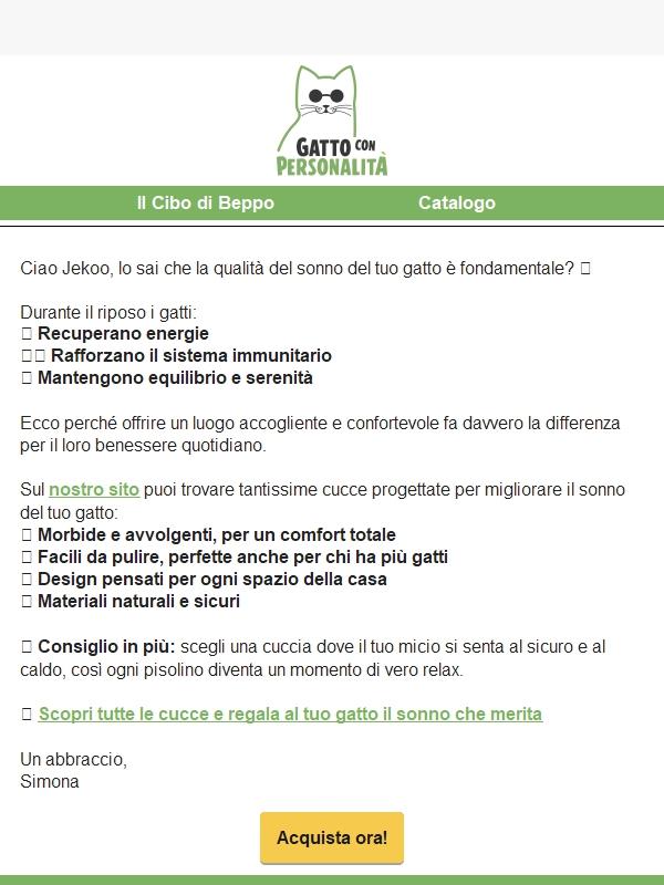 Il sonno del tuo gatto è più importante di quanto pensi
