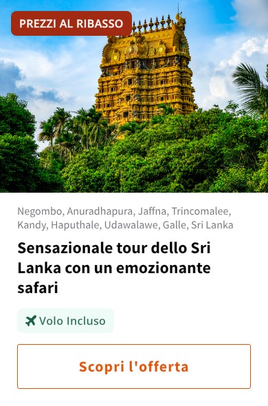 Sensazionale tour dello Sri Lanka con un emozionante safari