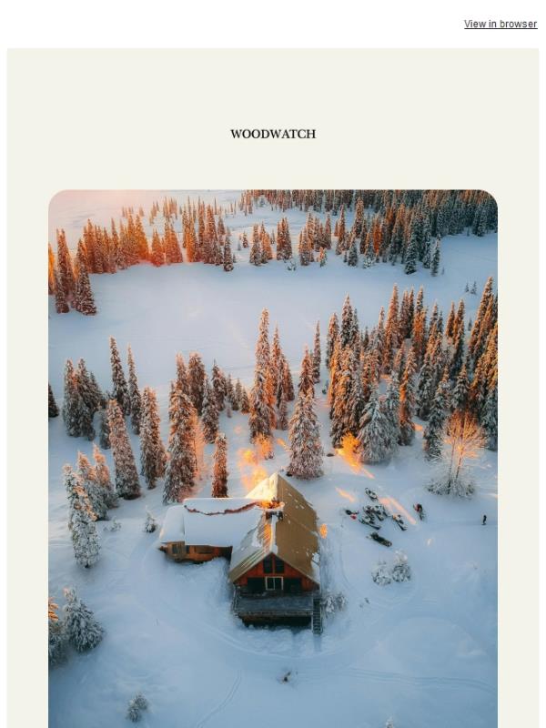 The Friday Pause: without a screen 🌳