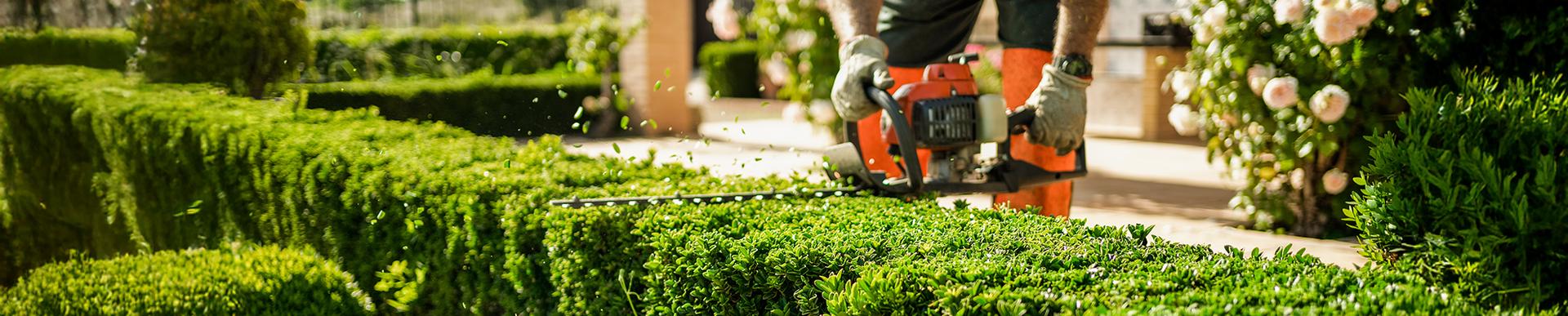 Attrezzature professionali Polsinelli per il Giardinaggio