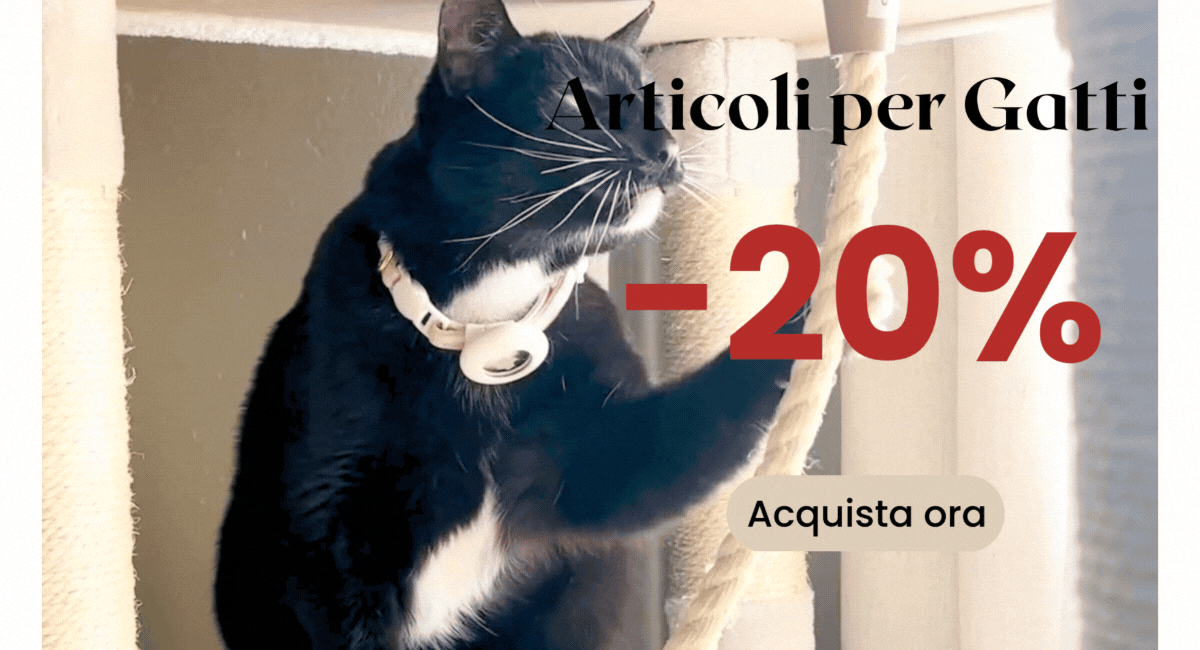 Articoli per Gatti
