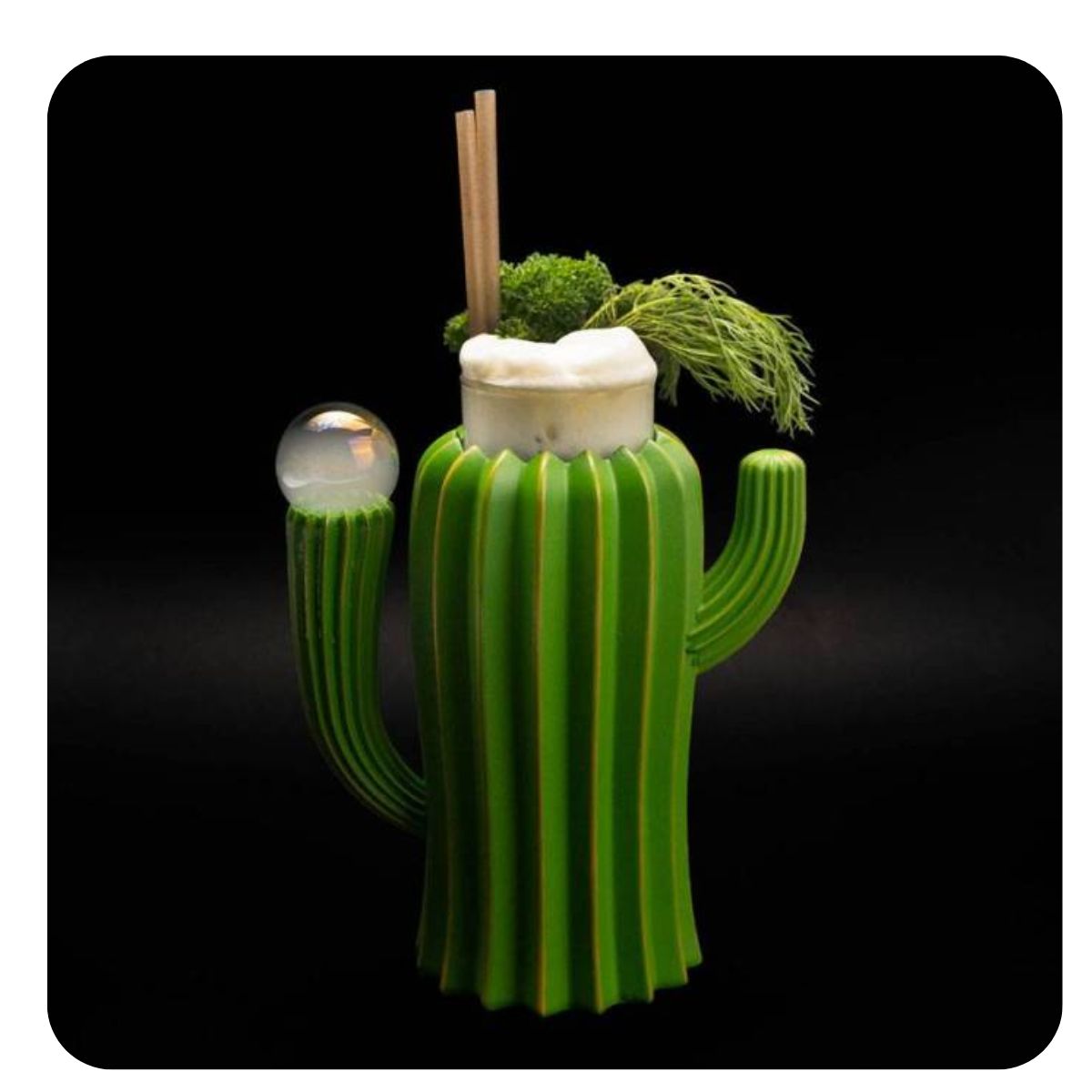 porta bicchiere cactus