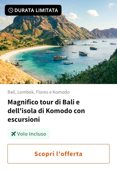 Magnifico tour di Bali e dell'isola di Komodo con escursioni