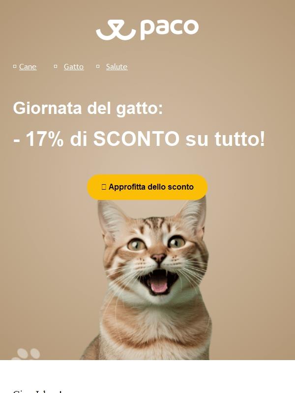 💛 17% di sconto per rendere speciale la Giornata Nazionale del Gatto!
