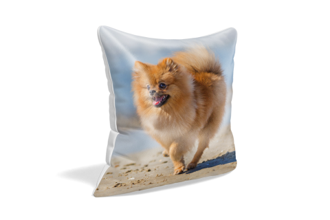 Cuscini cuciti a mano con immagine vivace e di alta qualità