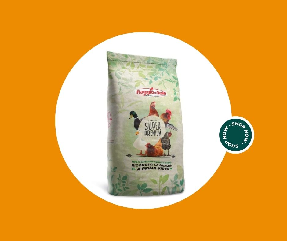 Terriccio substrato per azalee e rododendri