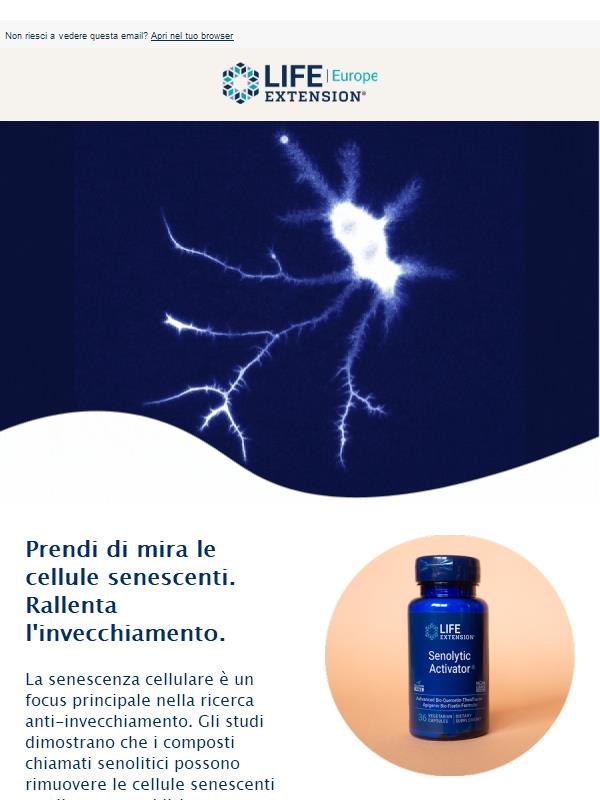 Combatti le cellule senescenti e l'invecchiamento