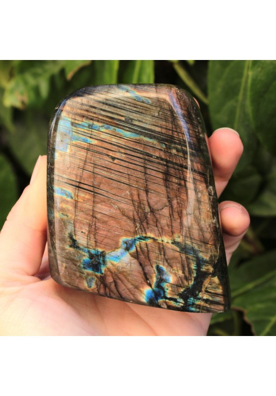 Image of LABRADORITE Riflessi Blu Oro Arancio Chakra Arredamento A+ Feng Shui 538gr