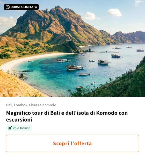 Magnifico tour di Bali e dell'isola di Komodo con escursioni