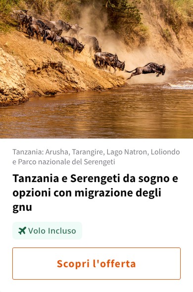 Tanzania e Serengeti da sogno e opzioni con migrazione degli gnu