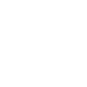 Optimise the organize