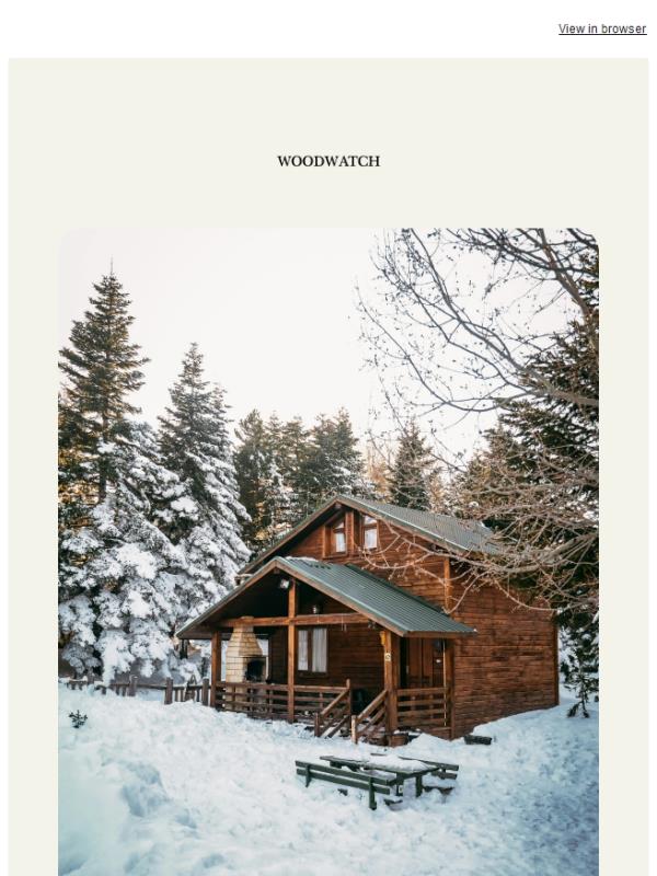 The Friday Pause: Reset Your Sense of Time 💭