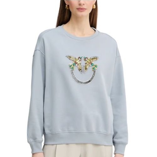 https://kimaccessori.it/maglia-felpa-da-donna-nelly-con-ricamo-con-strass-paillettes-pietre-ghiaccio-pinko-100534-a33g-e87