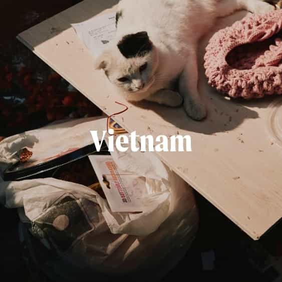 Vietnam