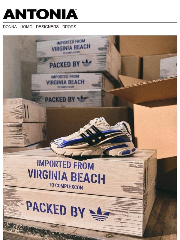 VIRGINIA Adistar Jellyfish