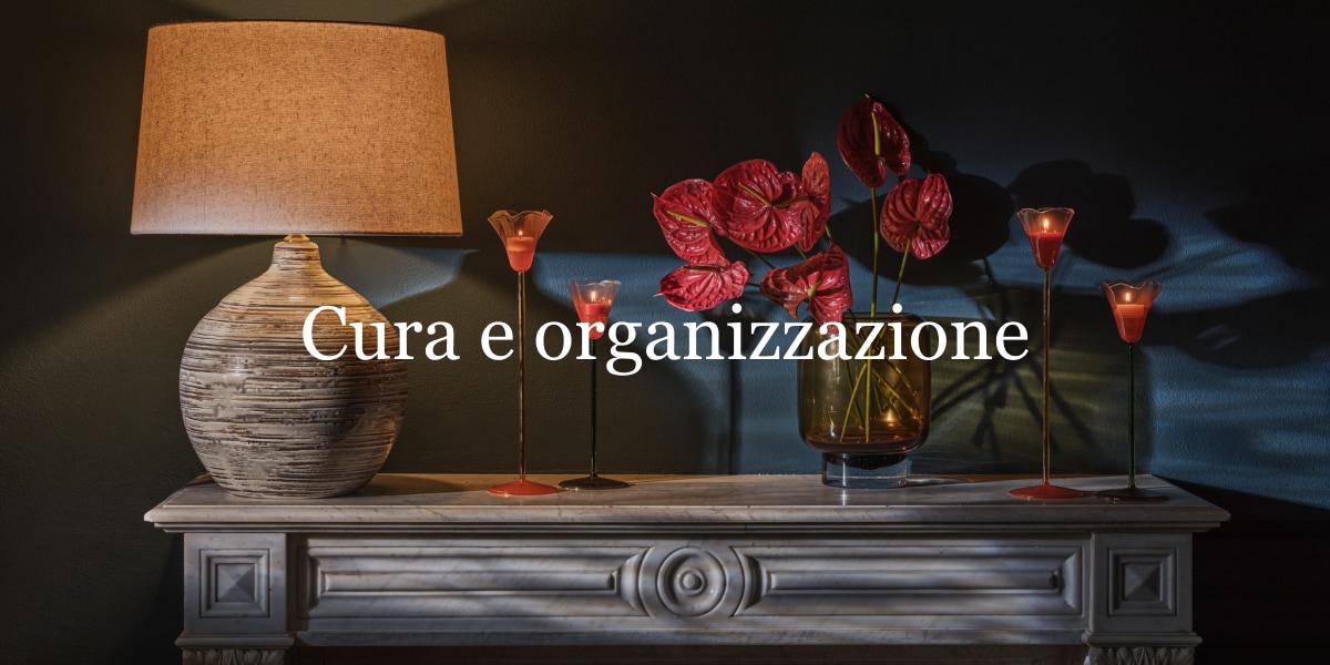 Cura e organizzazione 