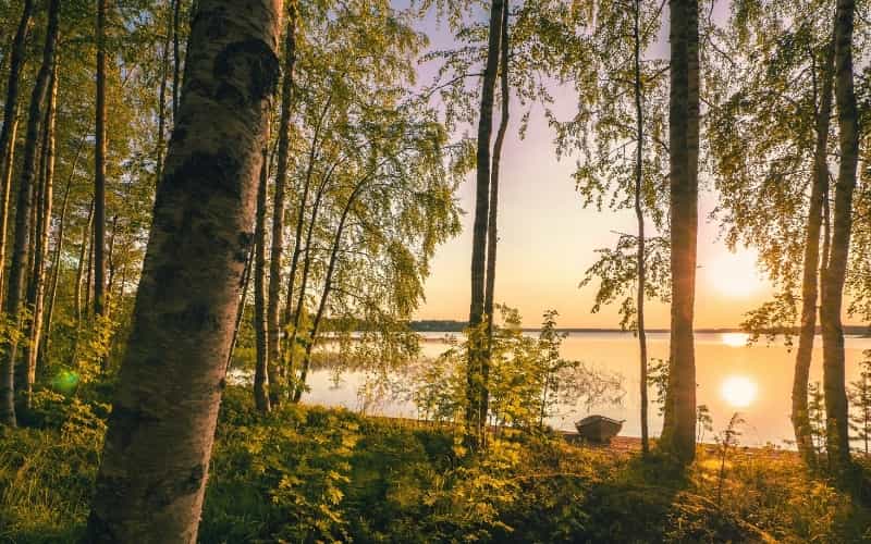 Hors des sentiers battus, vie sauvage et culture maorie