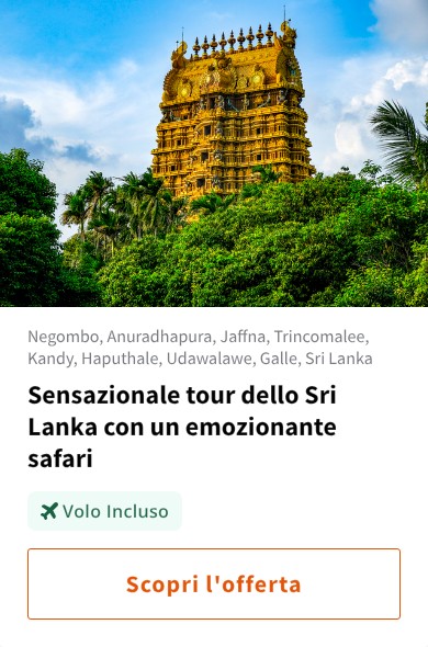Sensazionale tour dello Sri Lanka con un emozionante safari