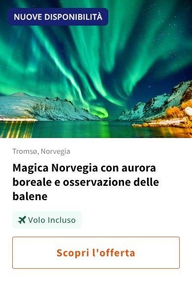 Magica Norvegia con aurora boreale e osservazione delle balene