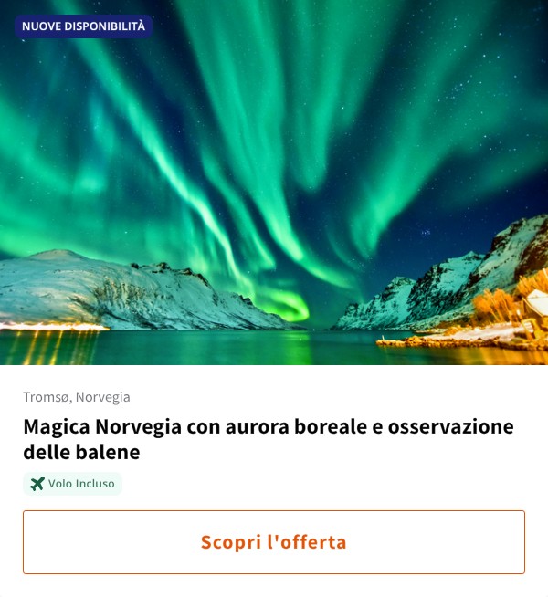 Magica Norvegia con aurora boreale e osservazione delle balene