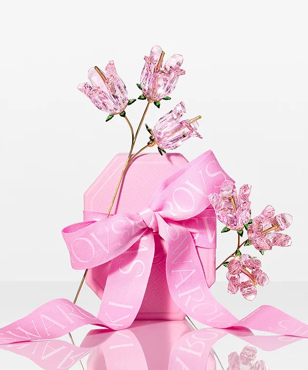 Visualizzazione regalo