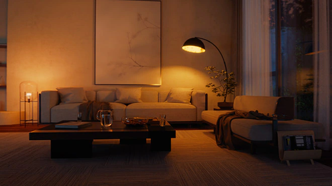 Prodotti indoor bonus