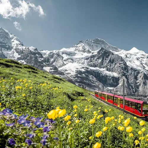 Activity image: Da Interlaken: visita guidata allo Jungfraujoch, il tetto d'Europa