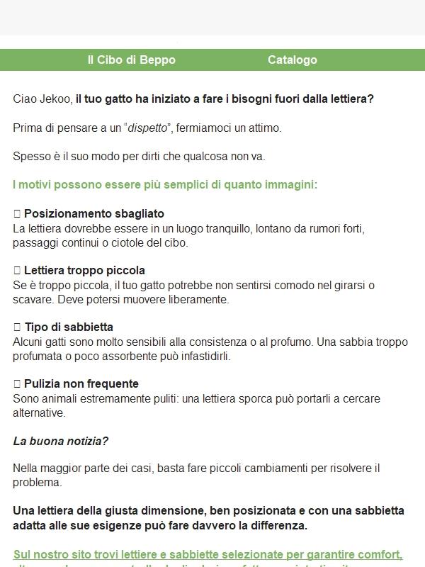 Il tuo gatto fa i bisogni fuori dalla lettiera?