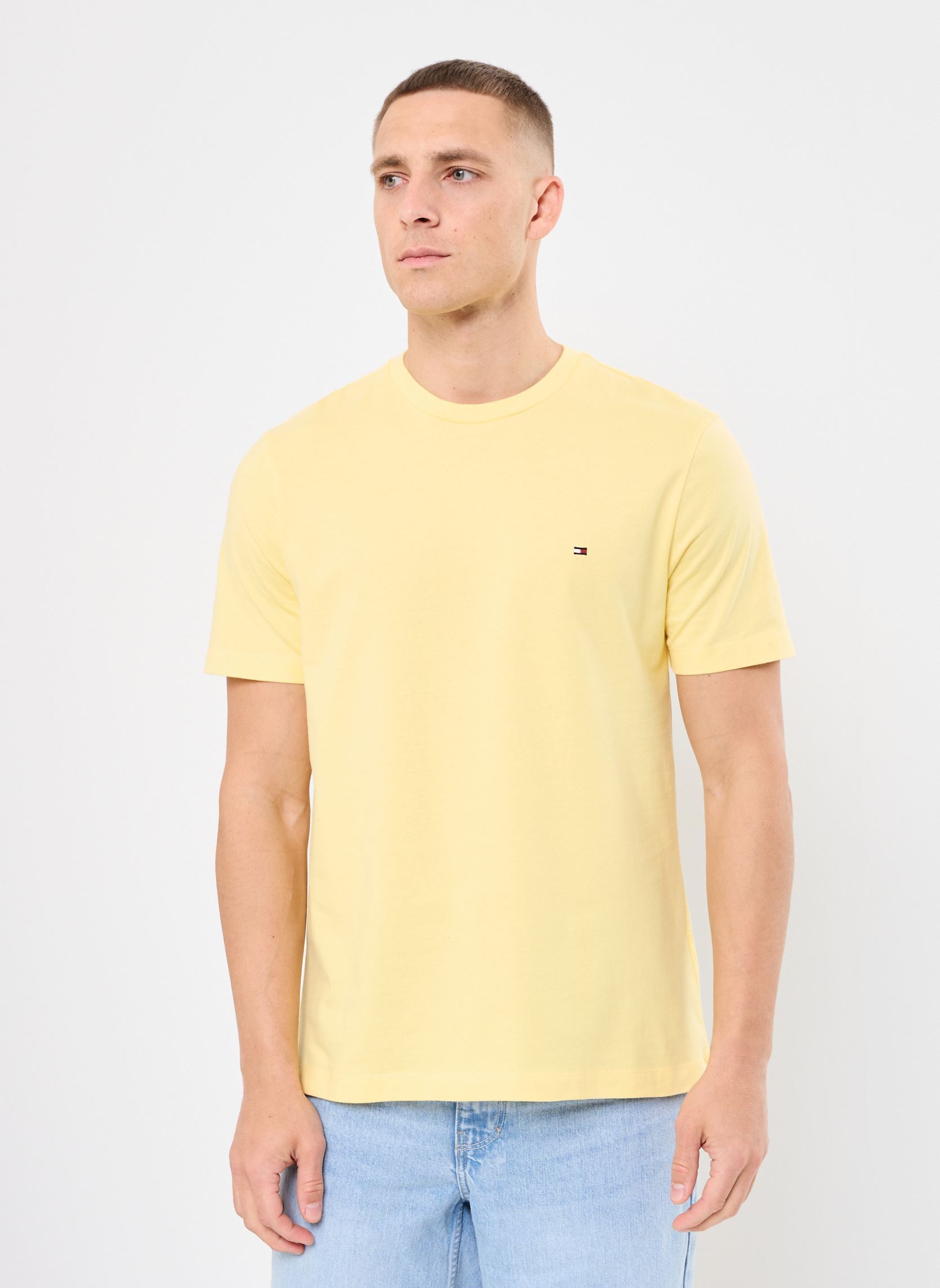 Tommy Hilfiger Tee-shirts manches courtes T-shirt - Ess Seasonal Reg Fit MW0MW39995 homme