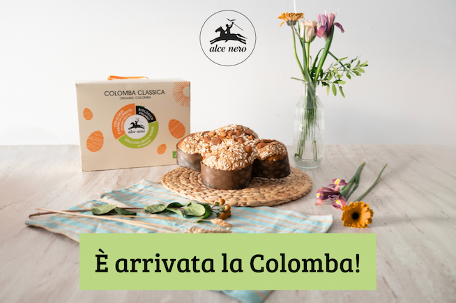 Colomba Alce Nero