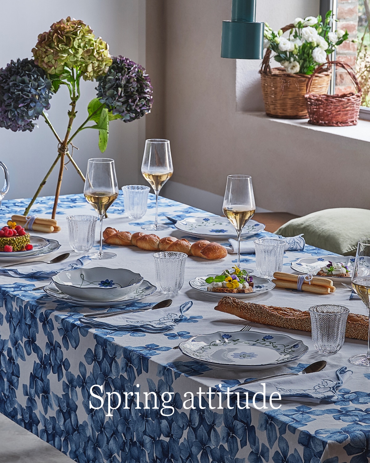 Coin Spring Attitude