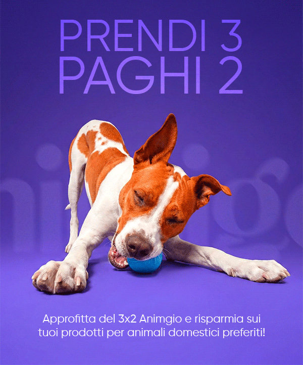 an image of a dog is playing with a ball on a purple background