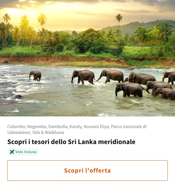 Scopri i tesori dello Sri Lanka meridionale