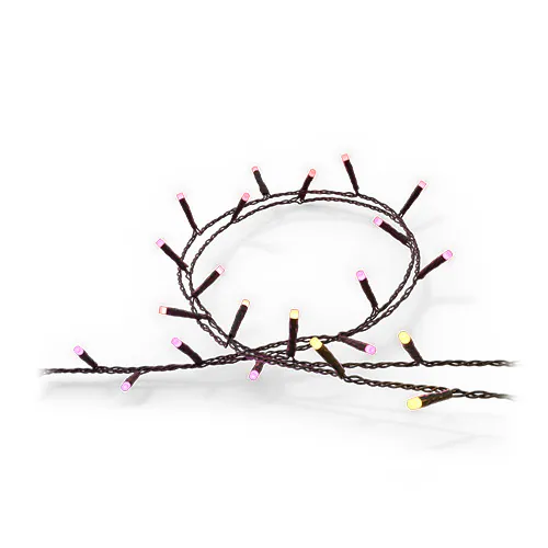 Luci a stringa Festavia