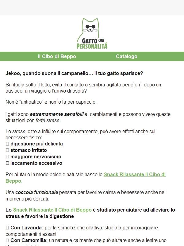 Il tuo gatto si nasconde quando arrivano ospiti?