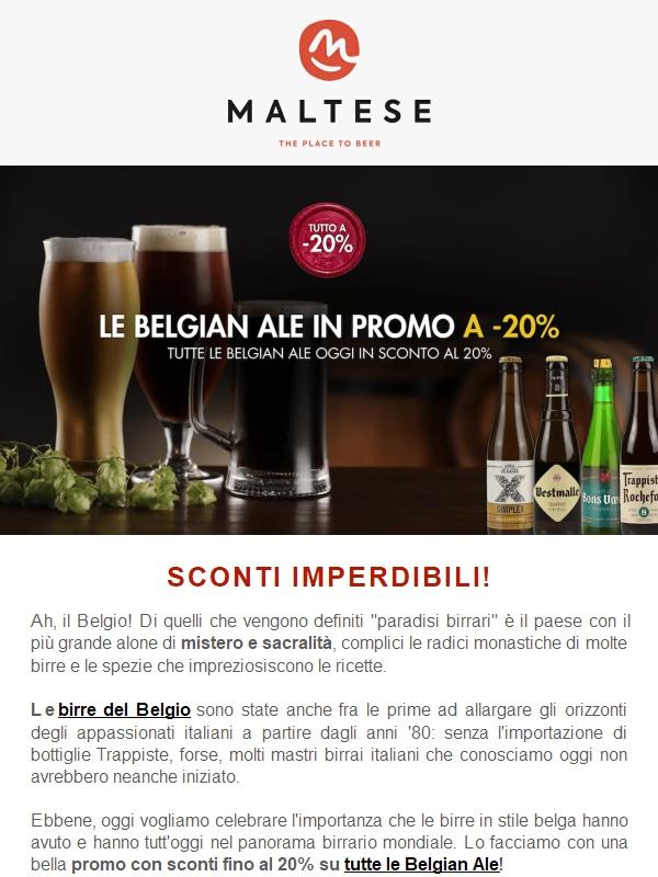 Le migliori Belgian Ale in sconto fino al 20%!