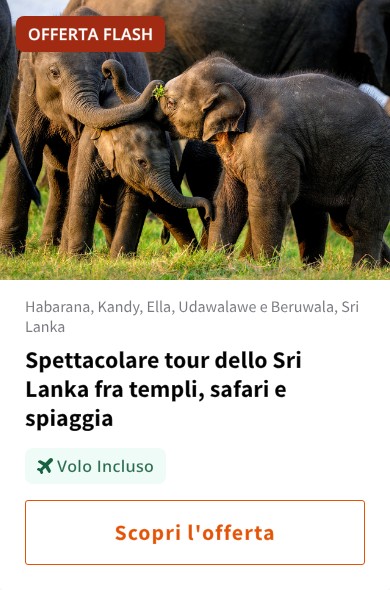Spettacolare tour dello Sri Lanka fra templi, safari e spiaggia