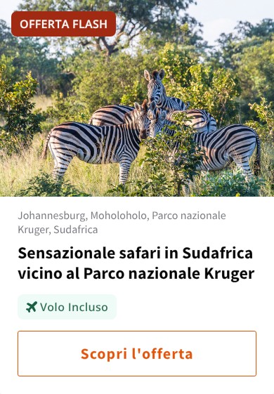 Sensazionale safari in Sudafrica vicino al Parco nazionale Kruger