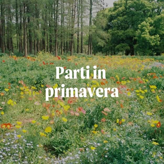 Primavera