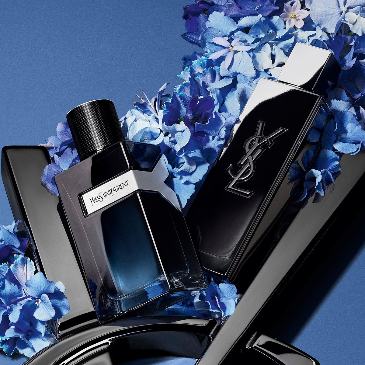 Due flaconi di profumo YSL Y immersi tra ortensie blu vibranti.
