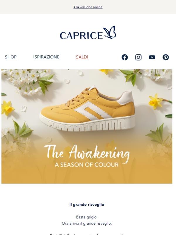 💐 Più colore. Più emozione. Più primavera