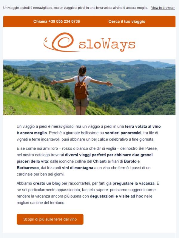 Le Terre del Vino: Dove Gustare i Migliori Calici