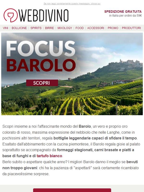 Focus Barolo 🍷 Le migliori bottiglie del 'Re dei vini'