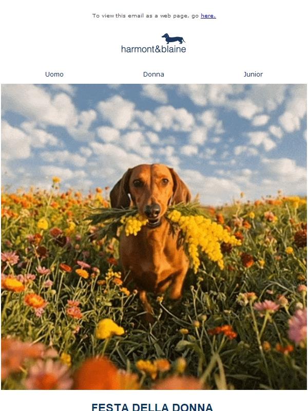 Buona Festa della Donna, solo oggi spedizione gratuita