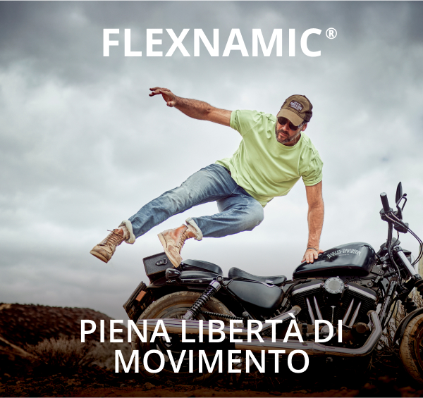 Flexnamic