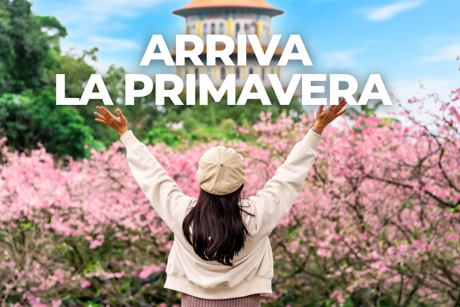 Sorteo Heymondo: gana un viaje a Brasil