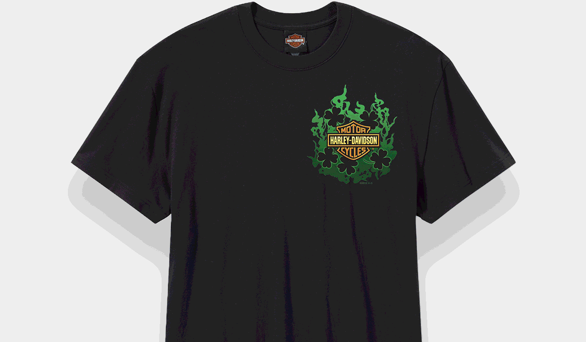 LA FORTUNA AIUTA GLI AUDACI