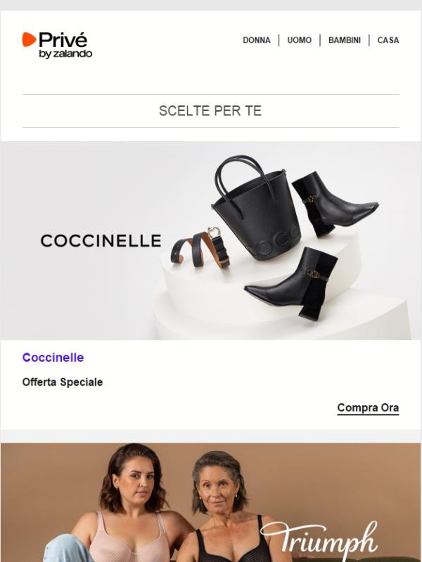 Coccinelle, Dickies & Triumph ⎪ Scopri di più...