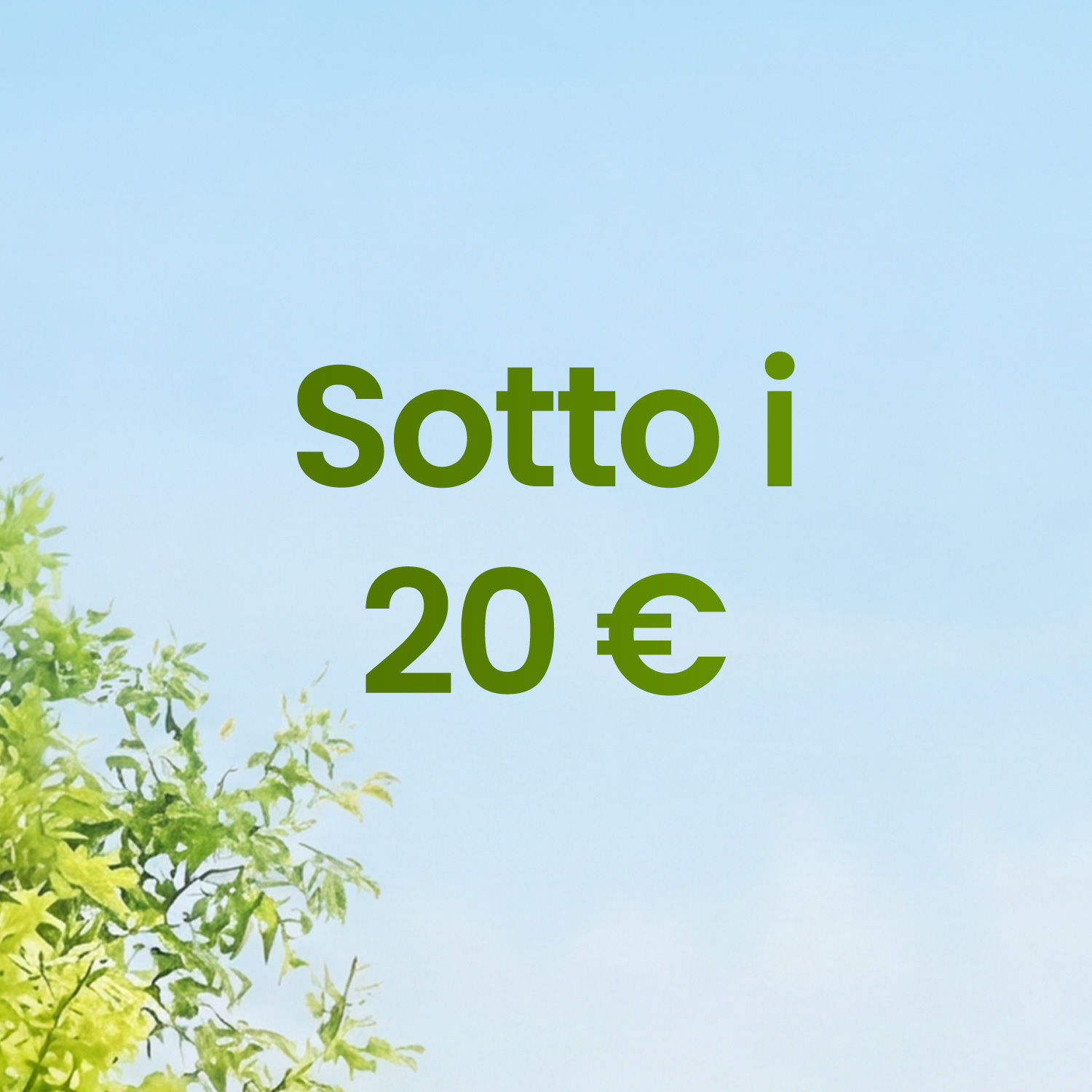 sotto i 20€